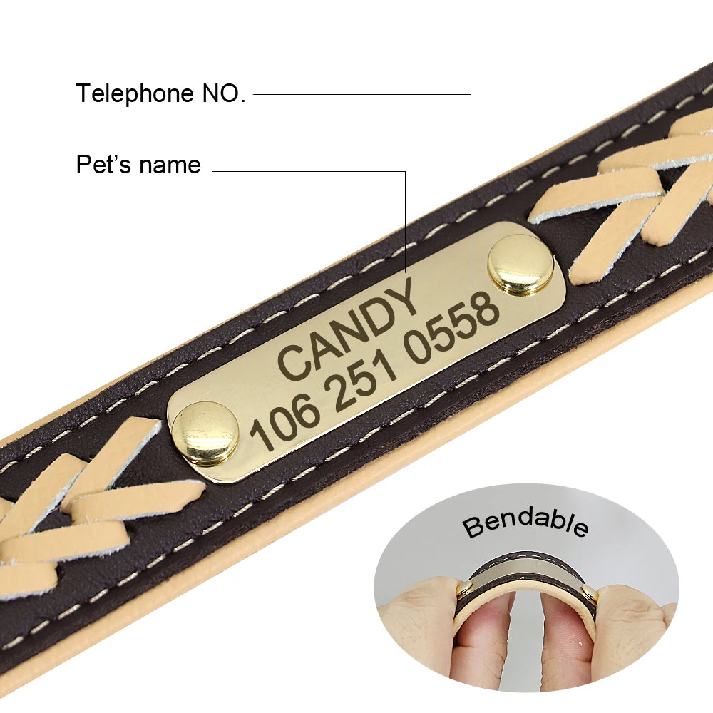 Chic Personalized Leather Padded Dog Collars with inlaid Braids. Fully Customizable! Free Engraving on Nameplate. For Small, Medium, and Large Dogs.