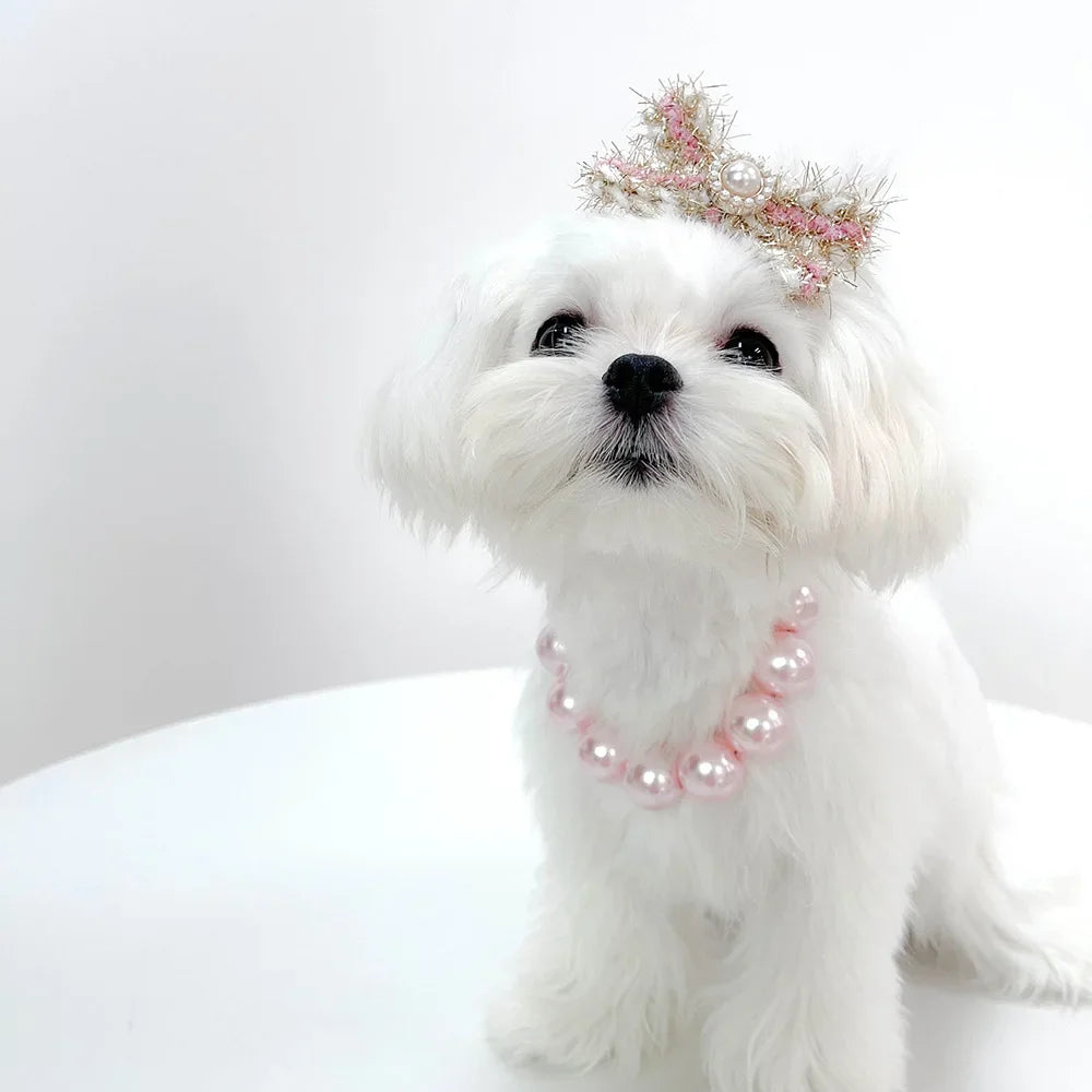 Pearl Collar Necklace for Pets, Chic Jewelry for Cats and Pups. Clothing Dress, Wedding Accessories, Fashion